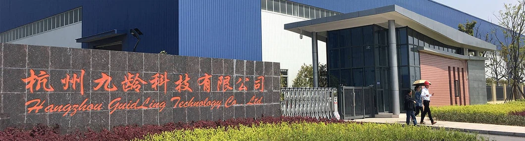 company company